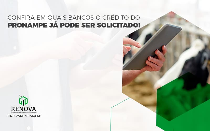 Renova Confira Em Quais Bancos 800x500 (1) - Renova Contabilidade & Assessoria Empresarial em São Paulo